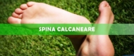 Spina calcaneare: sintomi, cause e cura