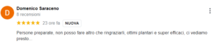 Recensione di Domenico Saraceno: Persone preparate, non posso fare altro che ringraziarli, ottimi plantari e superefficaci, ci vediamo presto... 5 stelle